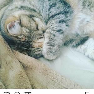 Meet your Posher, Timberly